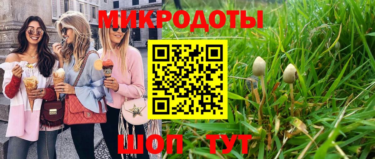 цены наркотик  Вход с VPN  Северобайкальск  Псилоцибиновые грибы MAGIC MUSHROOMS  Псилоцибиновые грибы ЛСД 